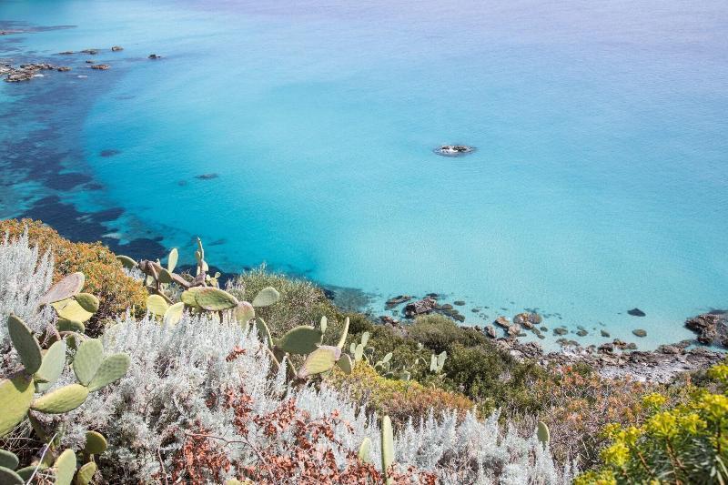 Hotel Calabrisella Calabria エクステリア 写真